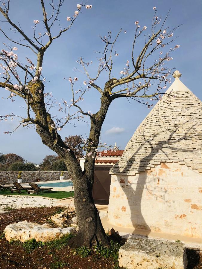 I Trulli Del Fauno Casa de hóspedes Alberobello